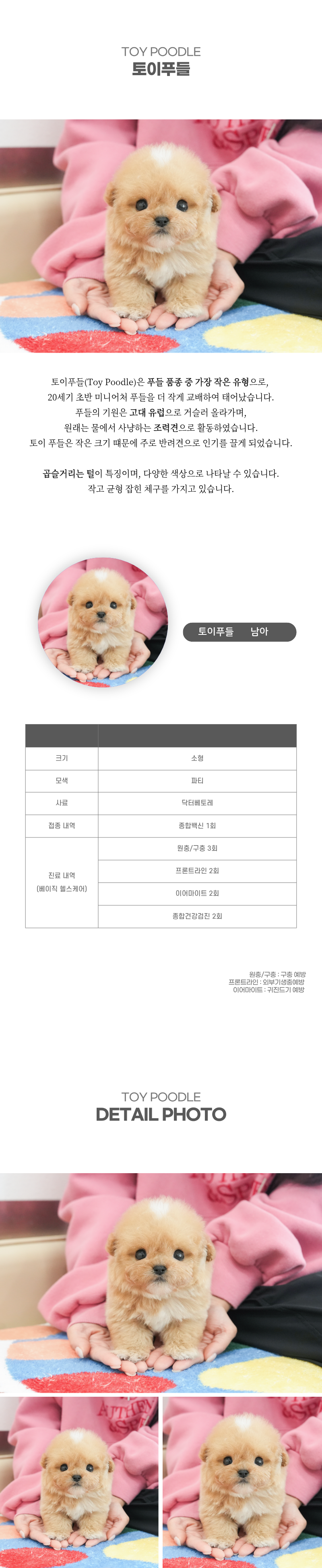 토이푸들_상세이미지_2